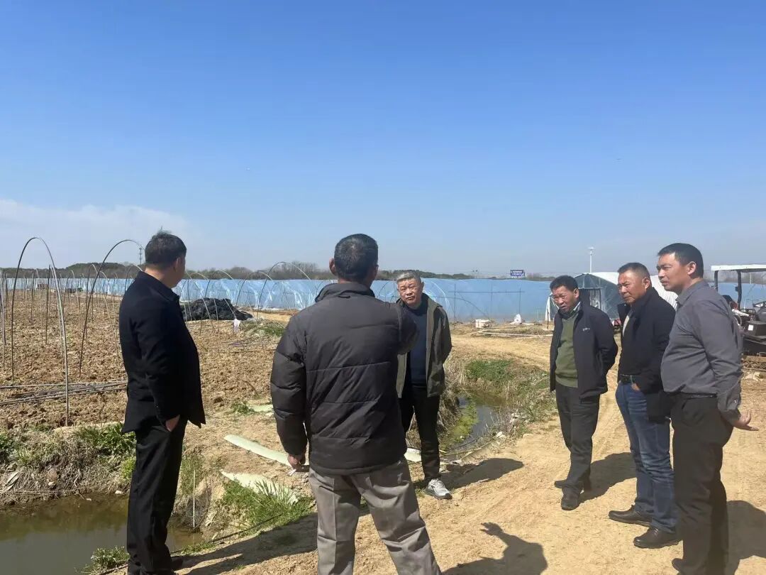 科技助农促春耕 专家田间送良方——江苏省冷链学会组织专家赴句容甲山开展春播指导